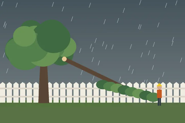Illustration: fallen tree limb across a residential yard